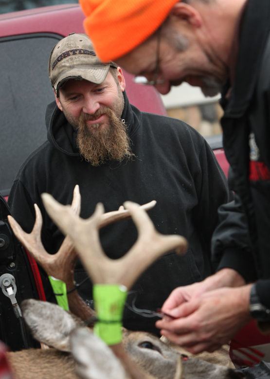 Deer Registration